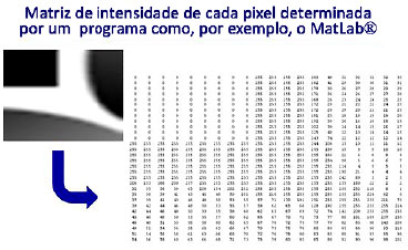 RBCP - Breast region measurements: direct or indirect anthropometry?